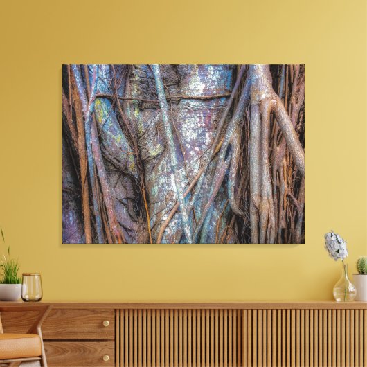 Florida Strangler Fig Canvas Afdruk (Insitu (Woonkamer))