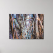 Florida Strangler Fig Canvas Afdruk (Voorkant)