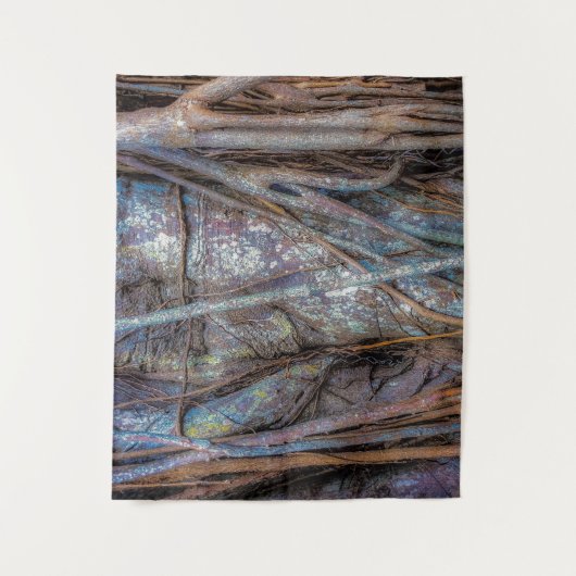 Florida Strangler Fig Wandkleed (Voorkant)