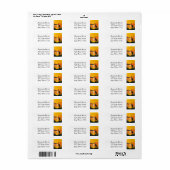 Florida Sunrise Adres Label (Full Sheet)