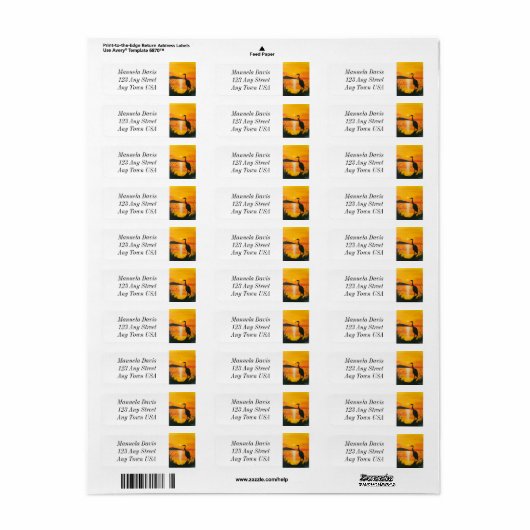 Florida Sunrise Adres Label (Full Sheet)