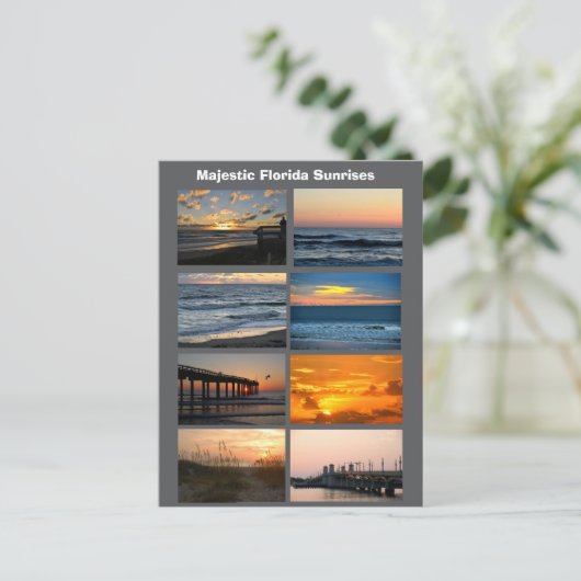 Florida Sunrises Briefkaart (Staand voorkant)