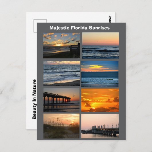Florida Sunrises  Briefkaart (Voorkant / Achterkant)