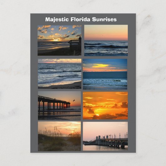 Florida Sunrises  Briefkaart (Voorkant)