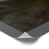 Florida Sunrises Print, Value Poster Paper (Matte) (Hoek)