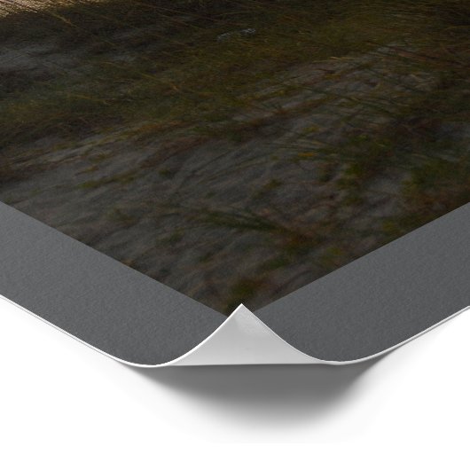 Florida Sunrises Print, Value Poster Paper (Matte) (Hoek)