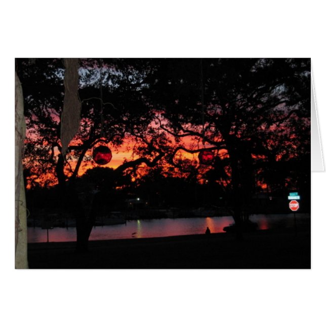 Florida Sunset (Voorkant Horizontaal)