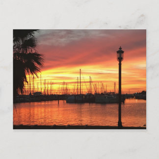 Florida Sunset Briefkaart