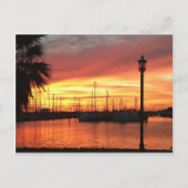 Florida Sunset Briefkaart (Voorkant)