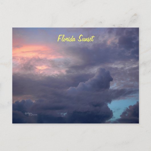 Florida Sunset Briefkaart (Voorkant)
