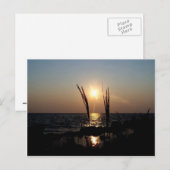 Florida Sunset Briefkaart (Voorkant / Achterkant)