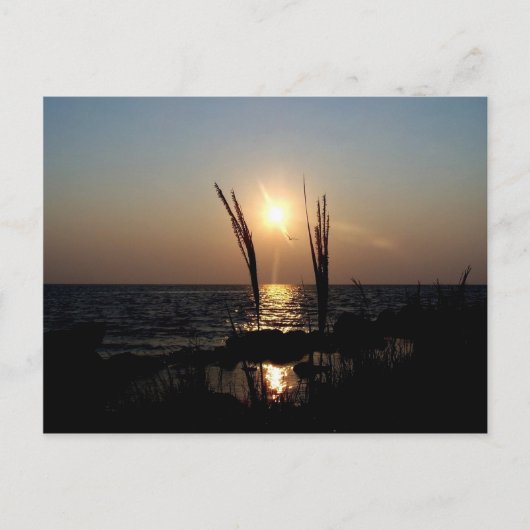 Florida Sunset Briefkaart (Voorkant)