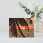 Florida Sunset Briefkaart (Staand voorkant)