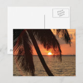 Florida Sunset Briefkaart (Voorkant / Achterkant)