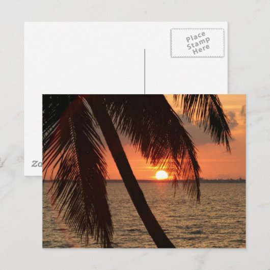 Florida Sunset Briefkaart (Voorkant / Achterkant)
