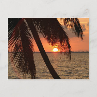 Florida Sunset Briefkaart