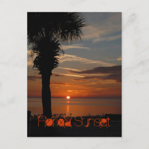 Florida Sunset Briefkaart