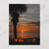Florida Sunset Briefkaart (Voorkant)