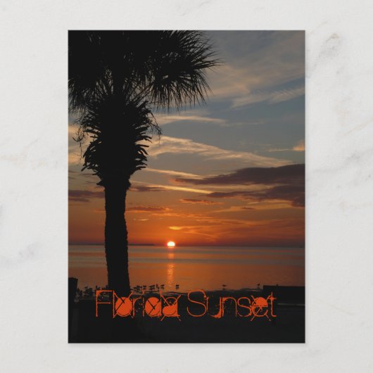Florida Sunset Briefkaart (Voorkant)