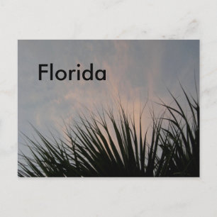 Florida Sunset - Briefkaart