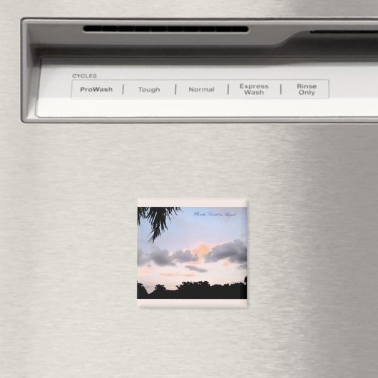 Florida Sunset in August Square magnet (Insitu (Vaatwasser))