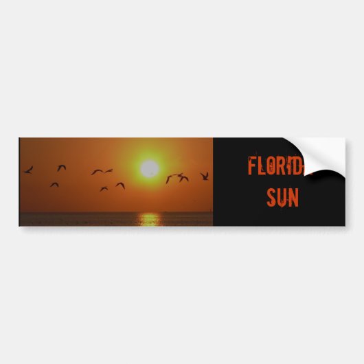 Florida Sunset met Gulls bumper sticker (Voorkant)
