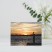 Florida Sunset met Pelican Briefkaart (Staand voorkant)