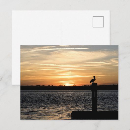 Florida Sunset met Pelican Briefkaart (Voorkant / Achterkant)