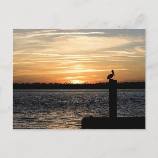 Florida Sunset met Pelican Briefkaart (Voorkant)