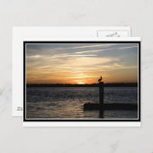 Florida Sunset met Pelican Briefkaart (Voorkant / Achterkant)