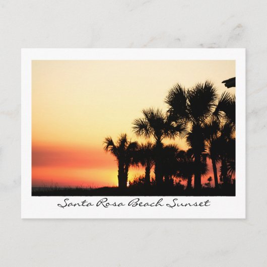 Florida Sunset Santa Rosa Beach Palm Trees Briefkaart (Voorkant)