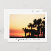 Florida Sunset Seagrove Beach Palm Trees Briefkaart (Voorkant / Achterkant)