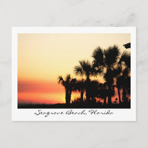 Florida Sunset Seagrove Beach Palm Trees Briefkaart