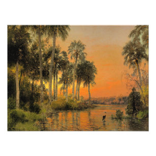 Florida Sunset van Hermann Herzog Foto Afdruk