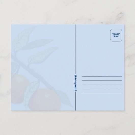 Florida Sunshine Briefkaart (Achterkant)