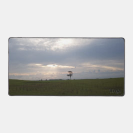 Florida Sunshine on lone pine Natuur Fotografie Bureaumat