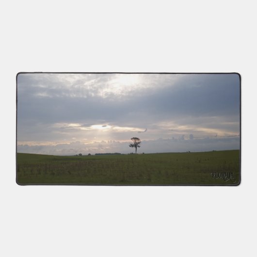 Florida Sunshine on lone pine Natuur Fotografie Bureaumat (Voorkant)