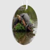 Florida Swamp Gator - Acryl Ornament (voorkant)