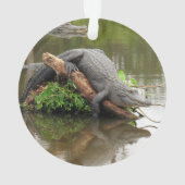 Florida Swamp Gator - Acryl Ornament (achterkant)