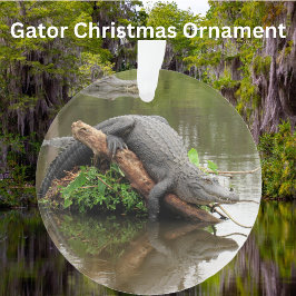 Florida Swamp Gator - Acryl Ornament