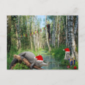 Florida Swamp Gator and Wildlife Christmas  Feestdagenkaart (Voorkant)