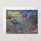 Florida Swimming Hole Briefkaart (Voorkant / Achterkant)