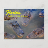 Florida Swimming Hole Briefkaart (Voorkant)