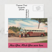 Florida, Tamiami Trail, Everglades Briefkaart (Voorkant / Achterkant)