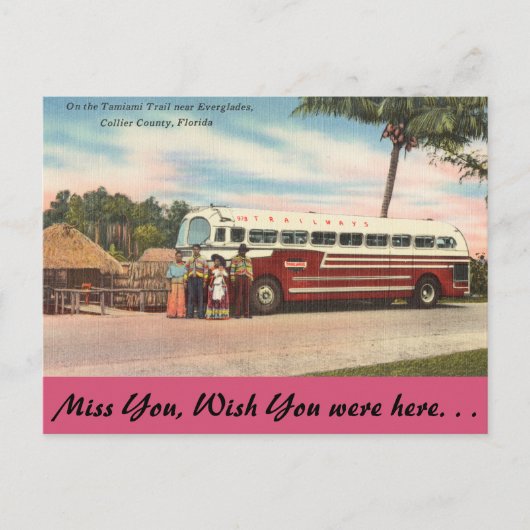Florida, Tamiami Trail, Everglades Briefkaart (Voorkant)
