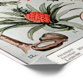 Florida The Everglade State, Reisposter Poster (Hoek)