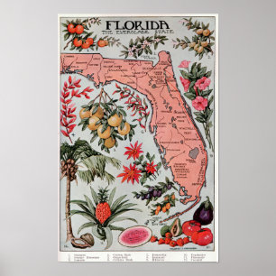 Florida The Everglade State, Reisposter Poster