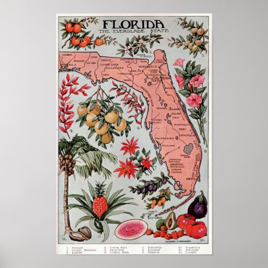Florida The Everglade State ,Travel Poster (Voorkant)