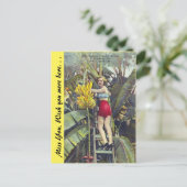 Florida, "The Sunshine City" Briefkaart (Staand voorkant)