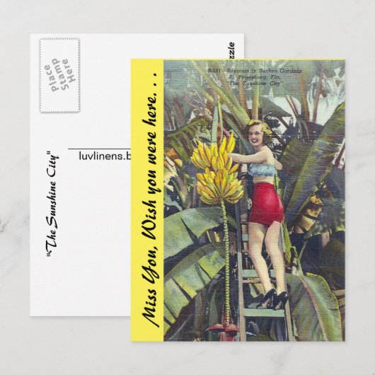 Florida, "The Sunshine City" Briefkaart (Voorkant / Achterkant)